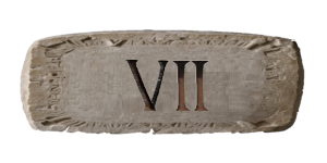 VII IN ROMAN NUMERALS